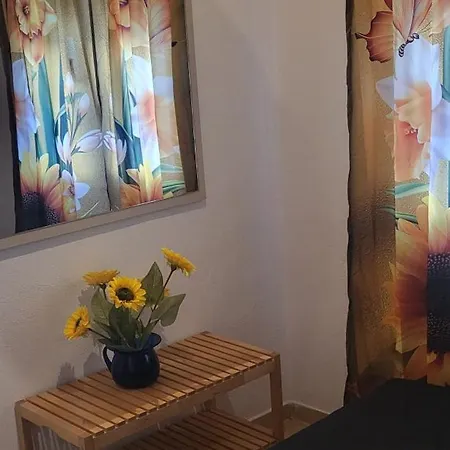 Alina S House Xalkidiki