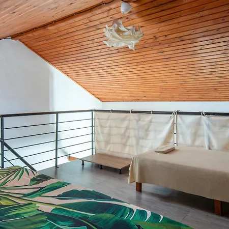 Alina S House Xalkidiki 度假居 *