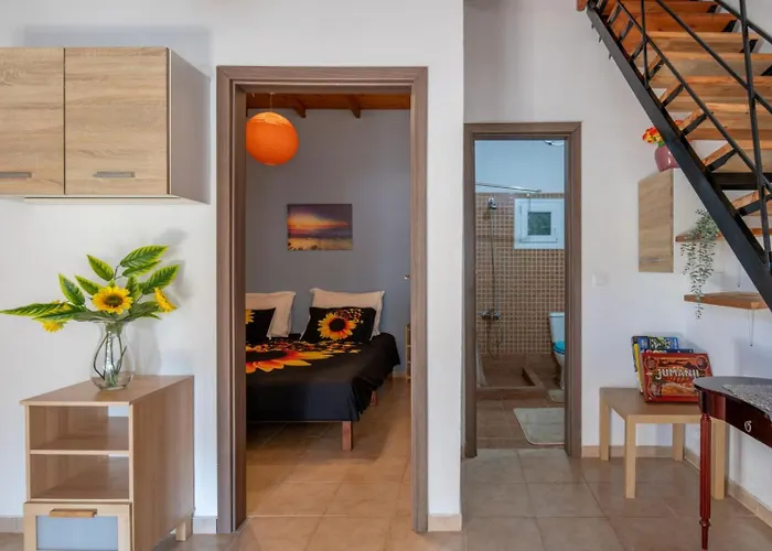 Alina S House Xalkidiki