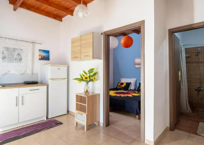 Alina S House Xalkidiki